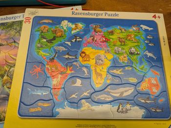 Lot de 2 puzzles 45 et 30 pièces