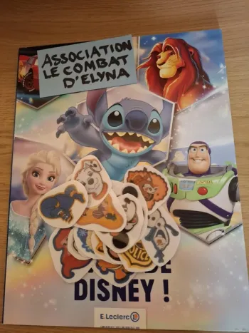 livre disney + impression des 24 fixeezs (bien lire)