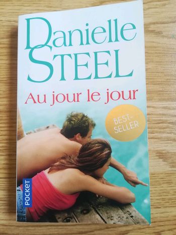 Au jour le jour Danielle Steel