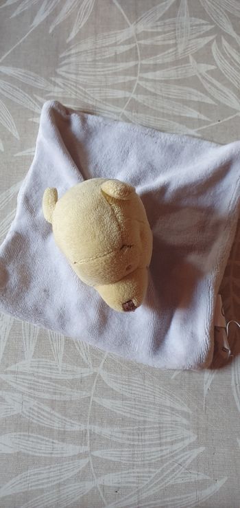 Doudou Winnie