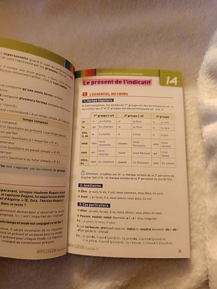 Livre Fiches de révision Français 3ème _ Bordas - photo numéro 8