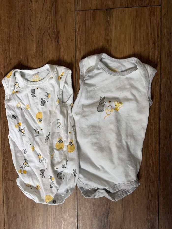 Lot 2 bodys manches courtes