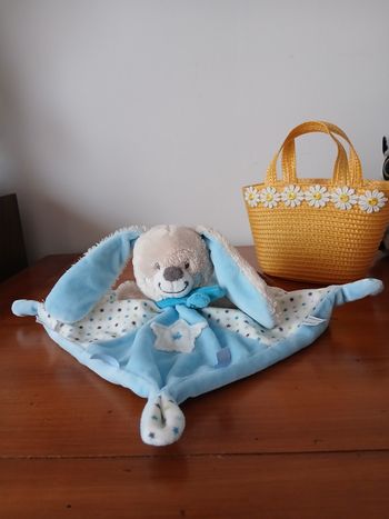 Doudou Petit Chien *mots d'enfant 