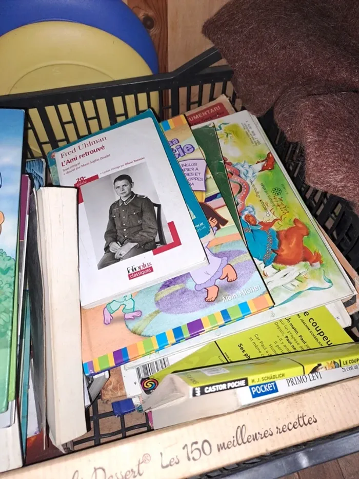 Caisse de livres 📚  pour revente. - photo numéro 3
