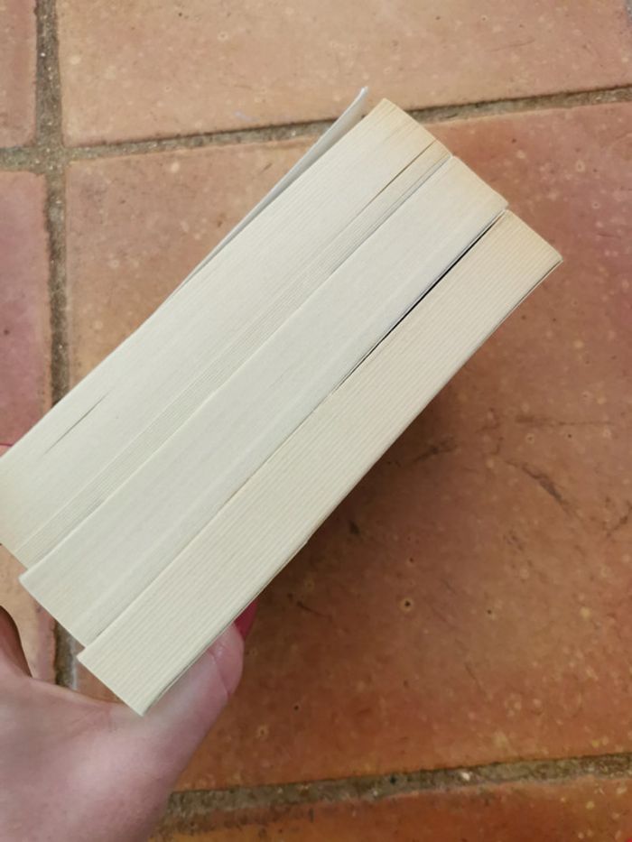 Lot de 3 tomes Famille Logan, livres de Virginia C. Andrews - photo numéro 9