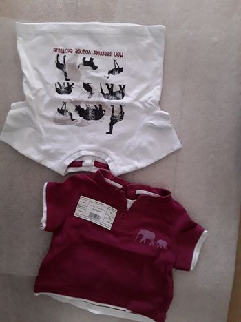 Lot de 2 tee-shirts Vertbaudet