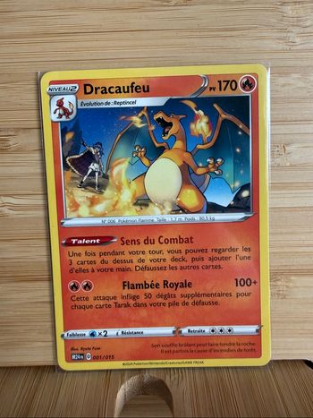Dracaufeu 001