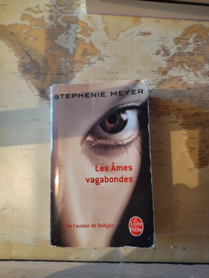Livre Les âmes vagabondes