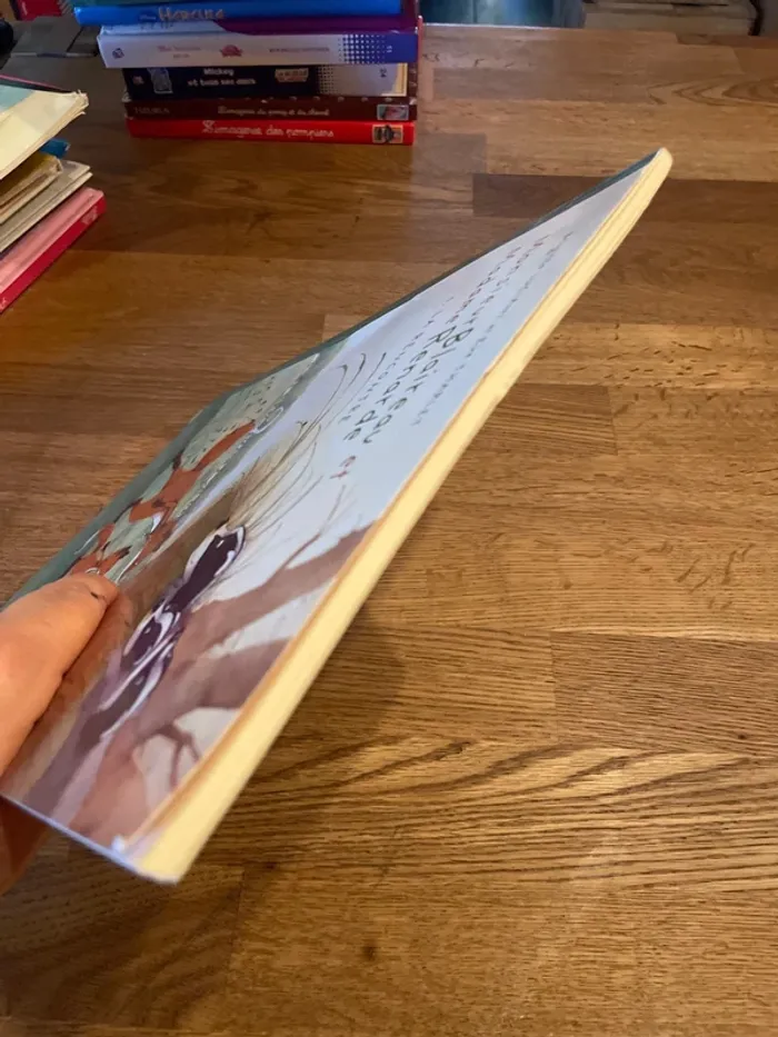 Livre L’école des Max Monsieur Blaireau et Madame Renarde 1- La rencontre - photo numéro 5