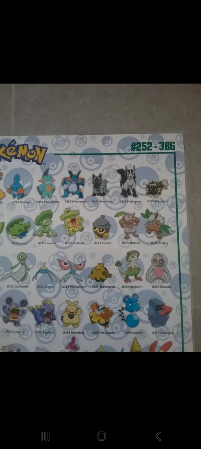 Poster plastifié Pokemon 252 au 386 - photo numéro 2