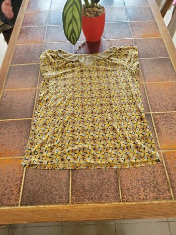 Tunique tee shirt manches courtes