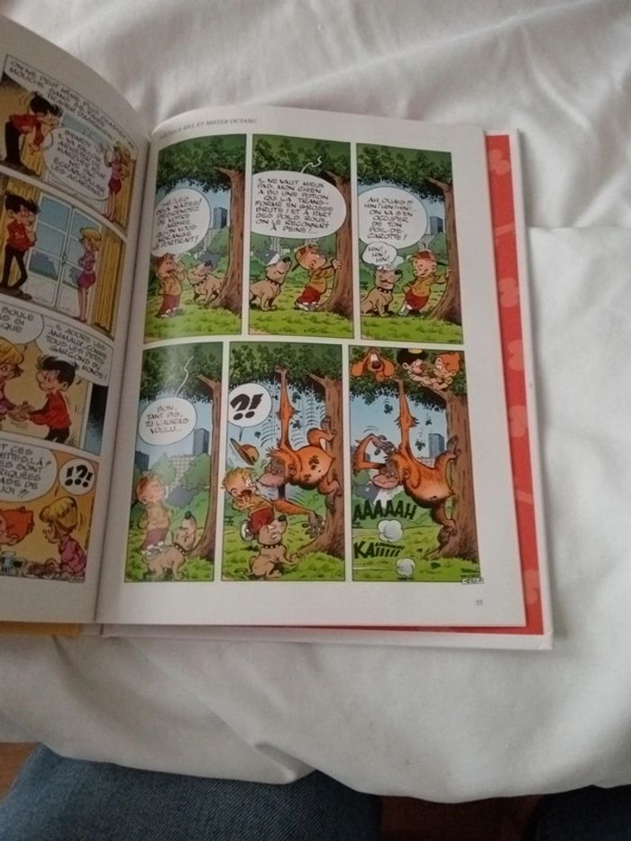 Boule et bill - photo numéro 4