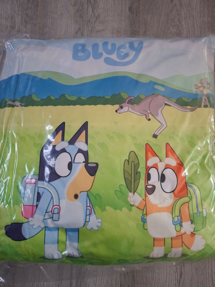 Coussin - photo numéro 6