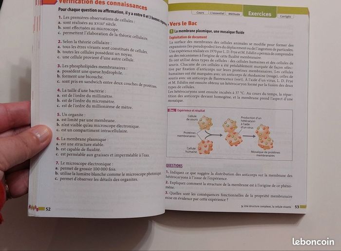 ABC du Bac - Enseignement scientifique- 1ere - photo numéro 5