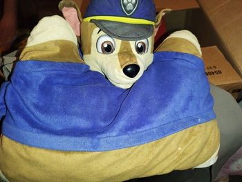 Coussin pat patrouille 