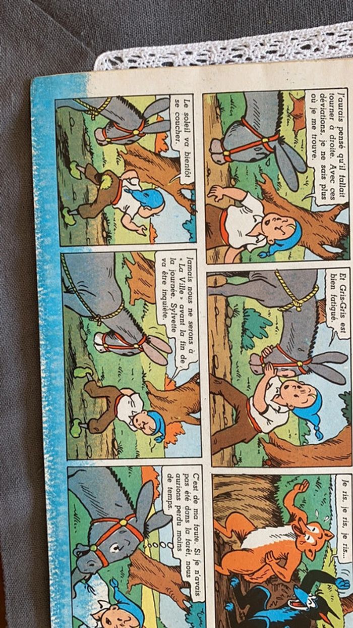 Les aventures de Sylvain et Sylvette une fausse piste - photo numéro 5