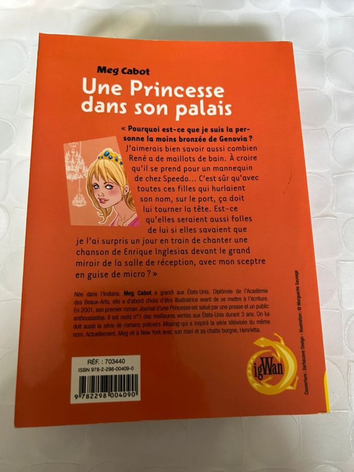 Livres, une princesse dans son palais. - photo numéro 2