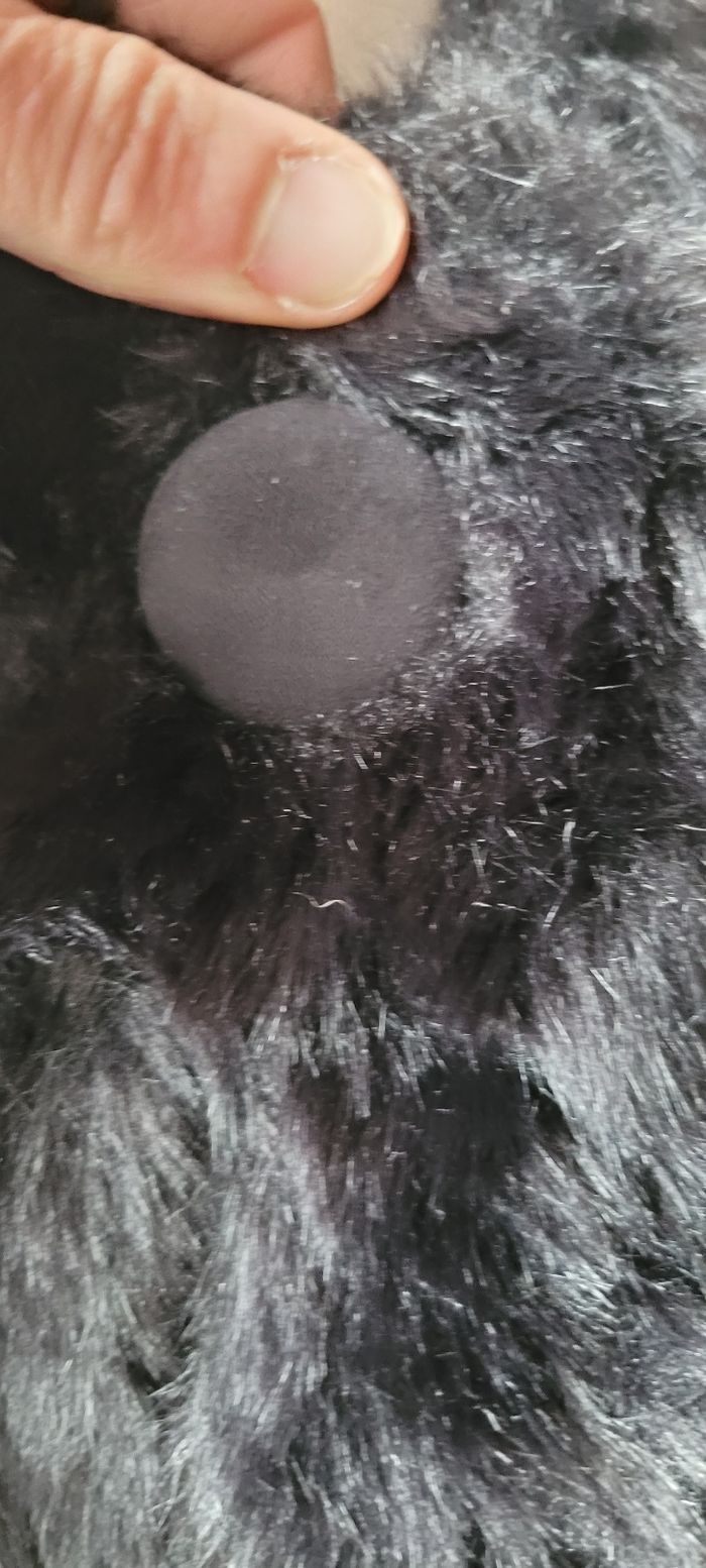 Veste sans manches - photo numéro 3