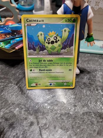 Pokémon cacnea niv12
