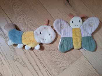 Papillon et chenille eveil