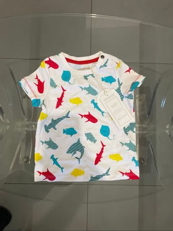 TEE shirt