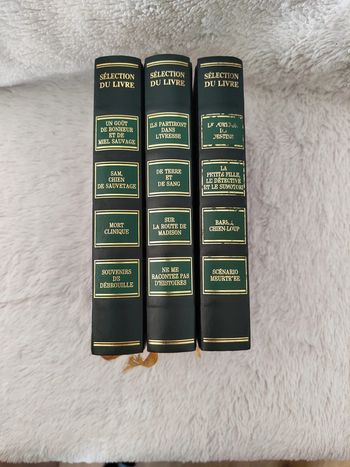 Lot meilleurs livres condensés verts