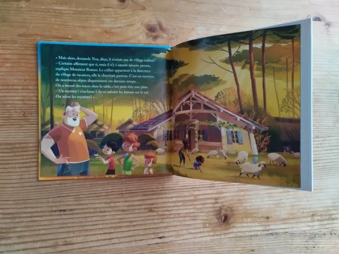📖 Livre jeunesse enfant – Le Village enfoui sous la dune du Pilat – Album illustré Hachette - photo numéro 3