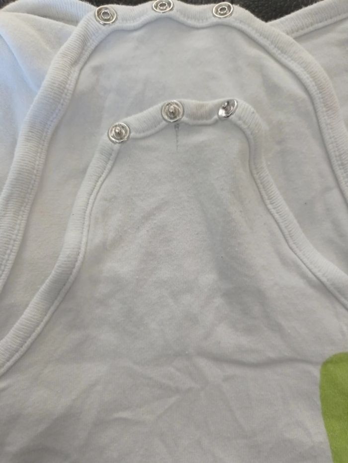 Body crocodile - photo numéro 3