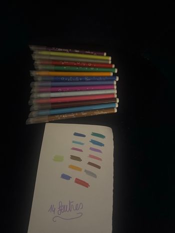 Lot 14 feutres bic kid