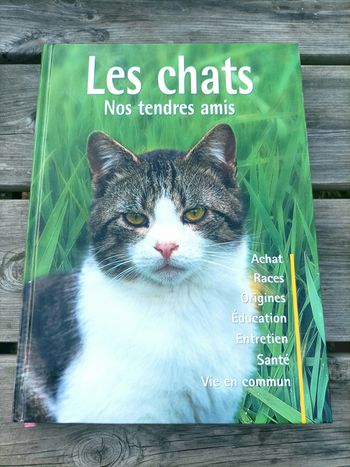 Les chats nos tendres amis