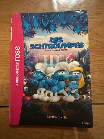 Livre les Schtroumpfs - le village perdu