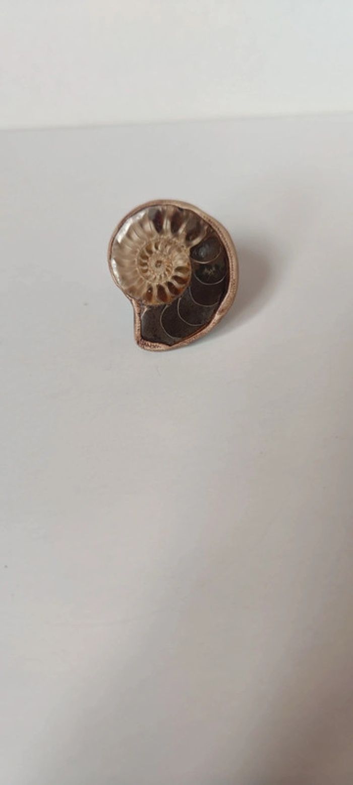Bague montée d'une ammonite - photo numéro 3