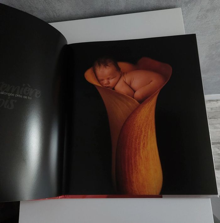 Livre Anne géodésique et Céline Dion - photo numéro 4