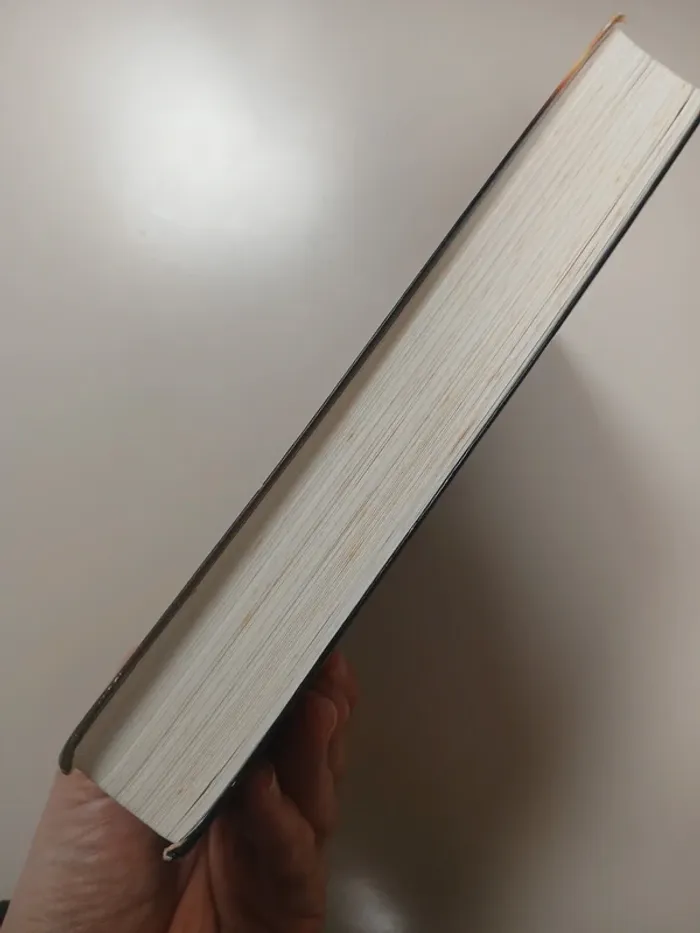 La cage de Roderick Anscombe - photo numéro 4