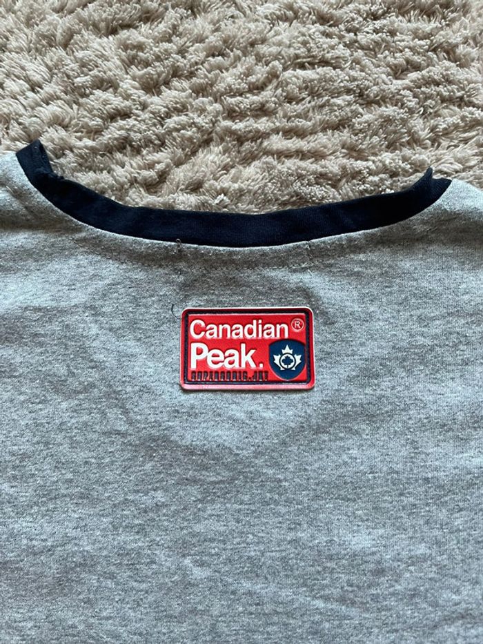 Tee-shirt imprimé Canadian Peak 1953/ M / Gris /Très bon état . - photo numéro 5