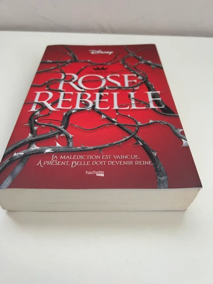 Livre d’Emma Thériault - Rose rebelle - photo numéro 4