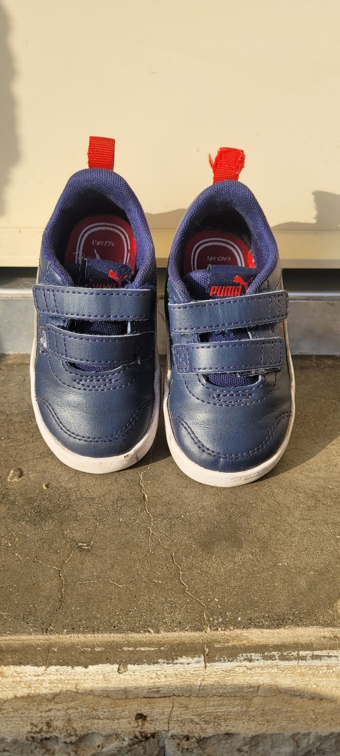 Puma bleu - photo numéro 2