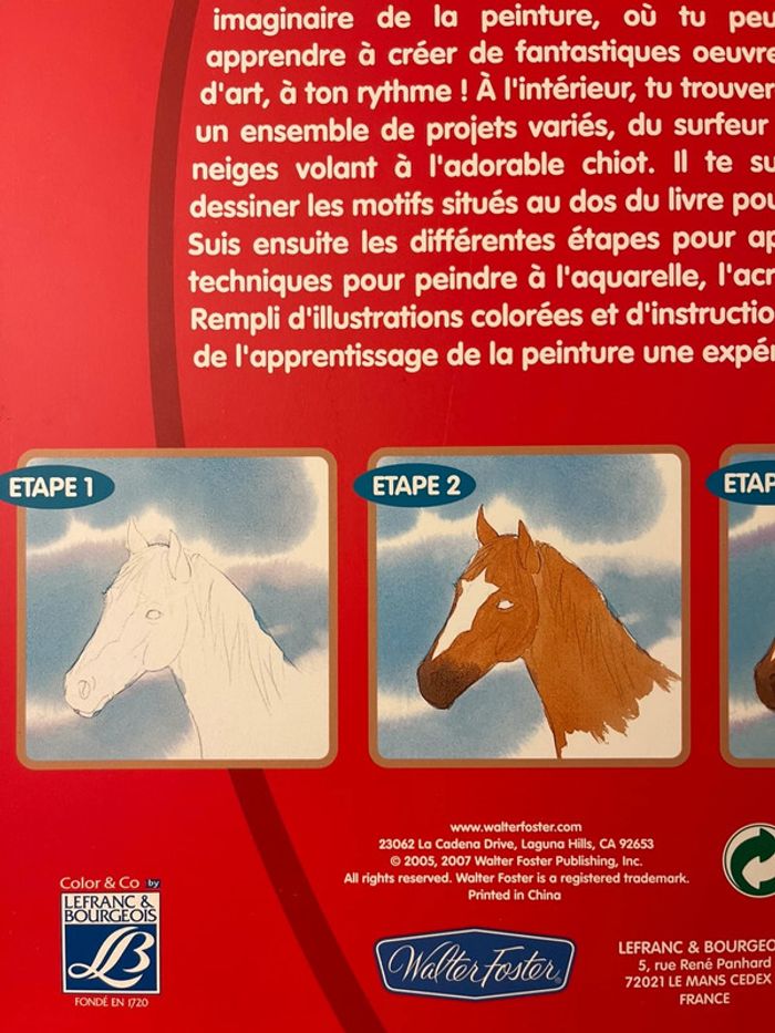 livre 40 pages - photo numéro 5