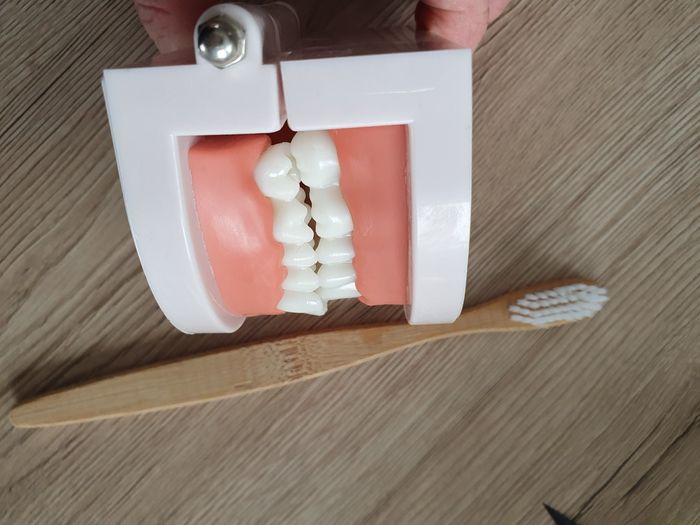 J apprends à me laver les dents méthode montessori - photo numéro 3