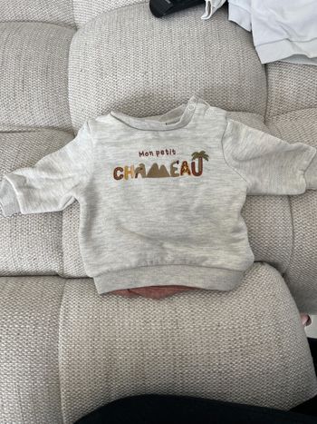 Pull 3 mois
