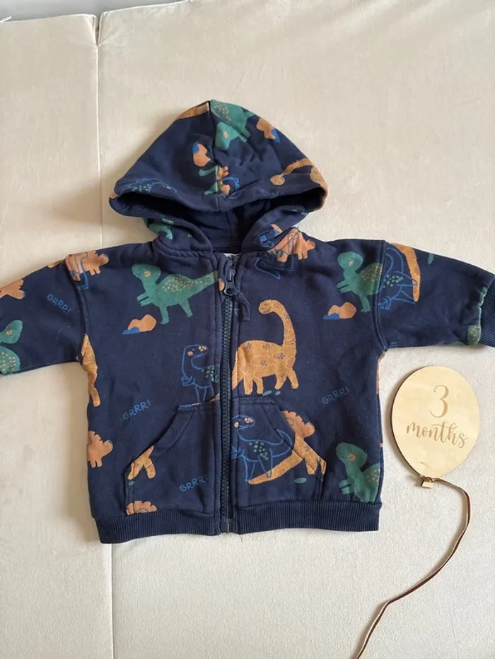 Pull dinosaures