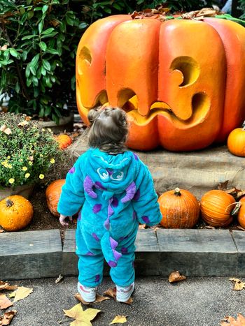 Combinaison Disney Sully