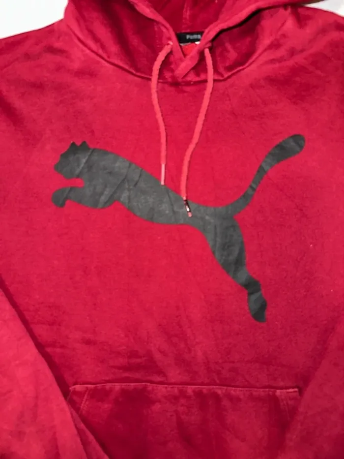 Sweat, capuche Puma - photo numéro 2