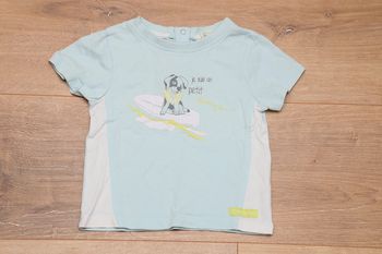 t-shirt chien