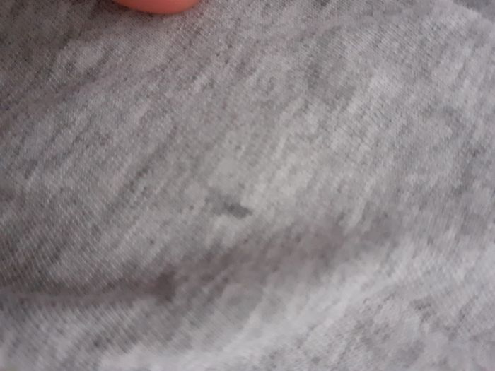 Tee-shirt - photo numéro 3