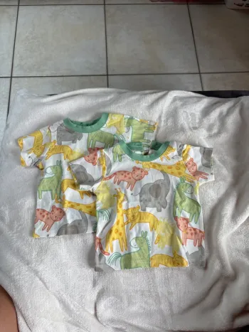 Lots de 2 t-shirt garçon