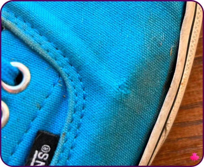 Baskets basses Vans Authentic - Bleues - T 41.5 / 42 - photo numéro 5