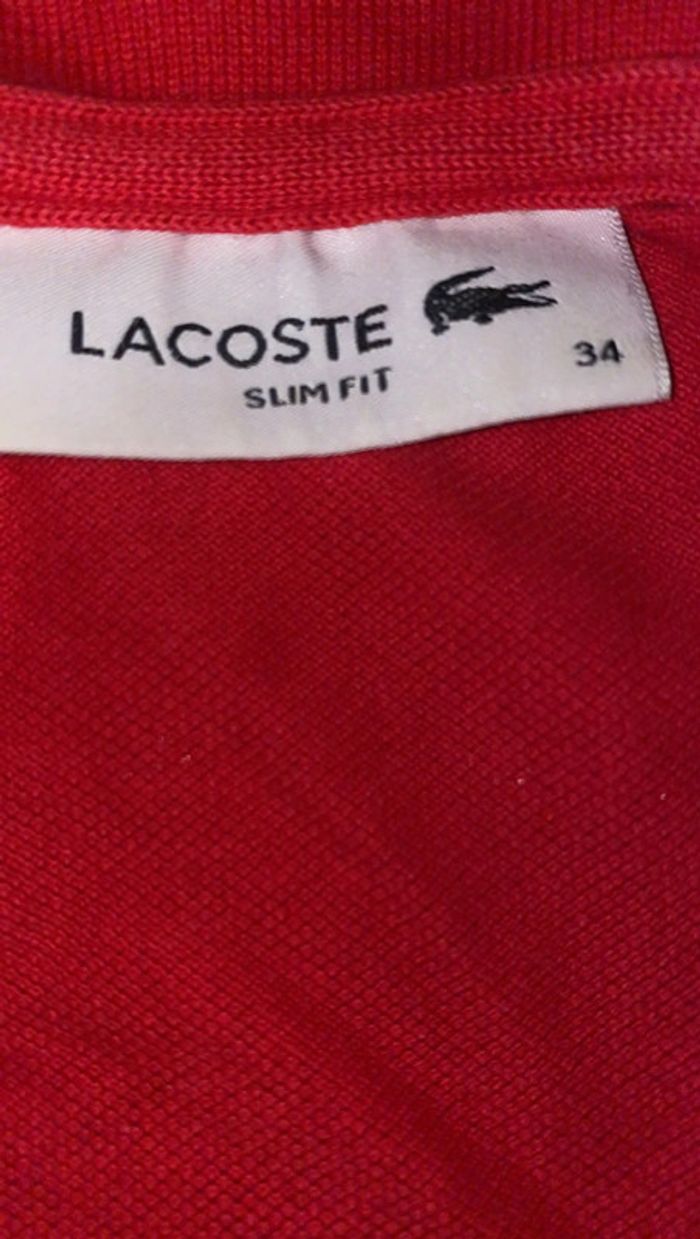 Polo Lacoste rouge - photo numéro 4