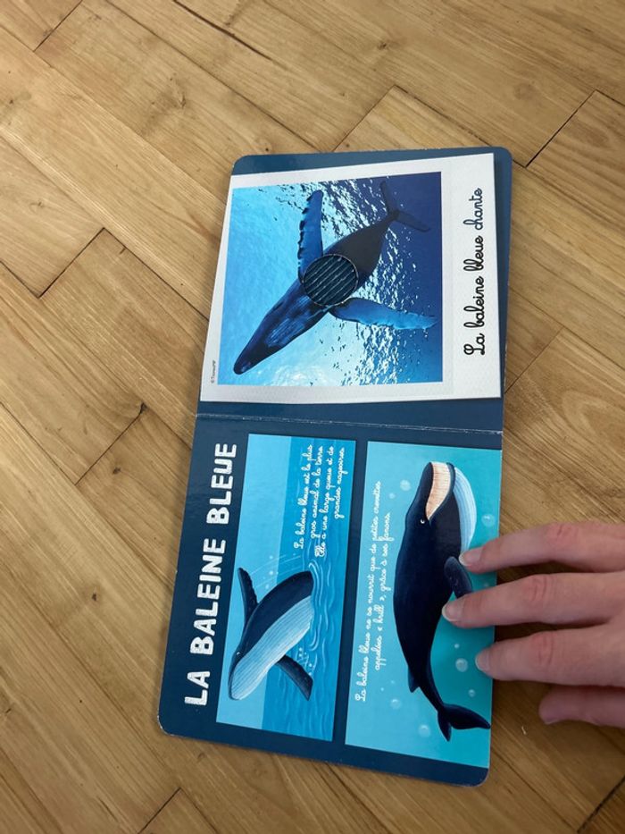 Livre les animaux de l’eau - photo numéro 4