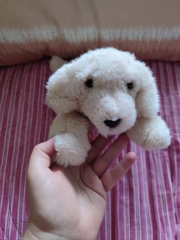 Doudou labrador jacadi